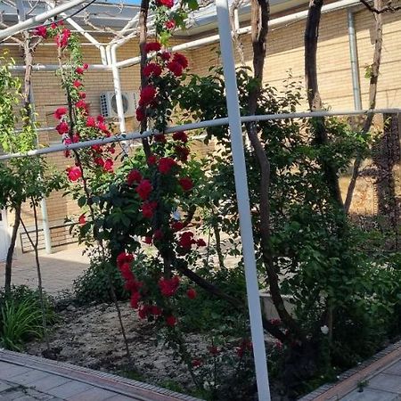 Hostel Muborak 撒马尔罕 外观 照片