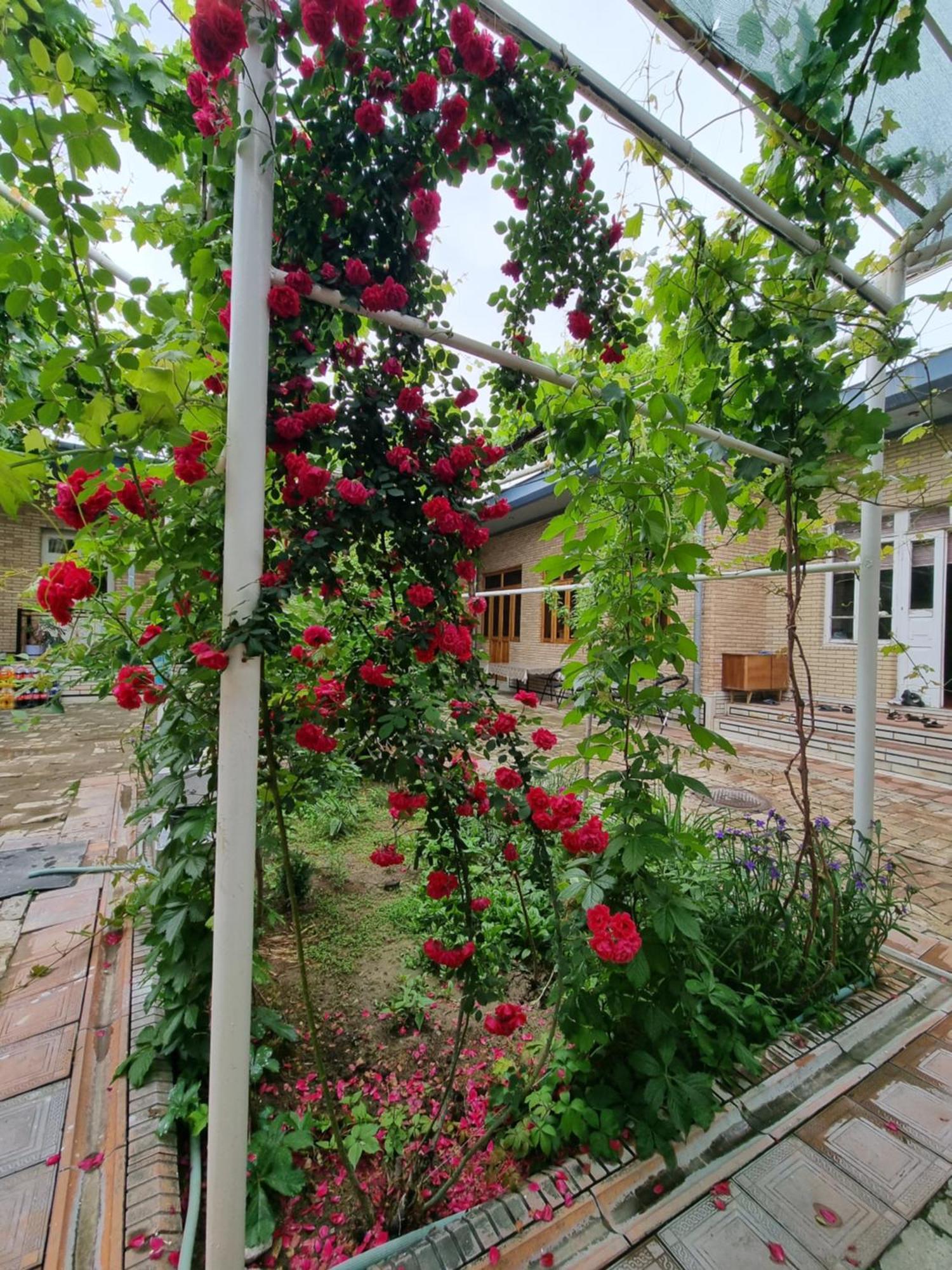 Hostel Muborak 撒马尔罕 外观 照片